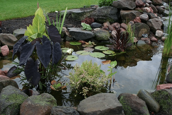 how much does landscaping cost with a water feature