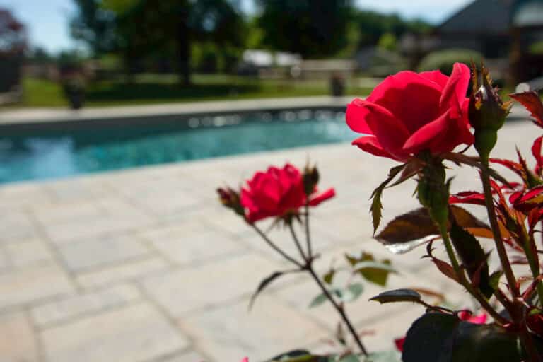 permeable patio with flowers