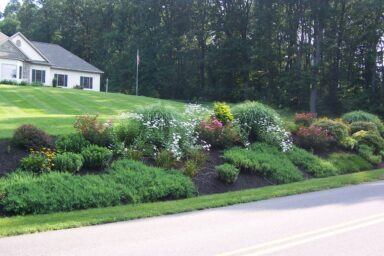 bank landscape