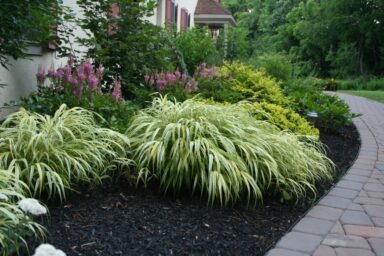 landscaping design ideas