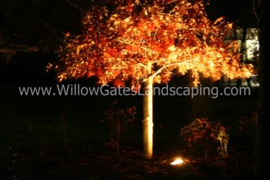 uplighting