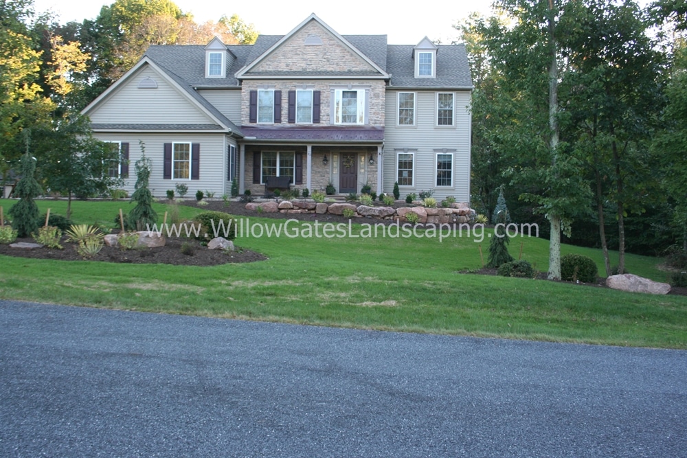 new lawn landscape