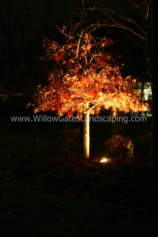 uplighting