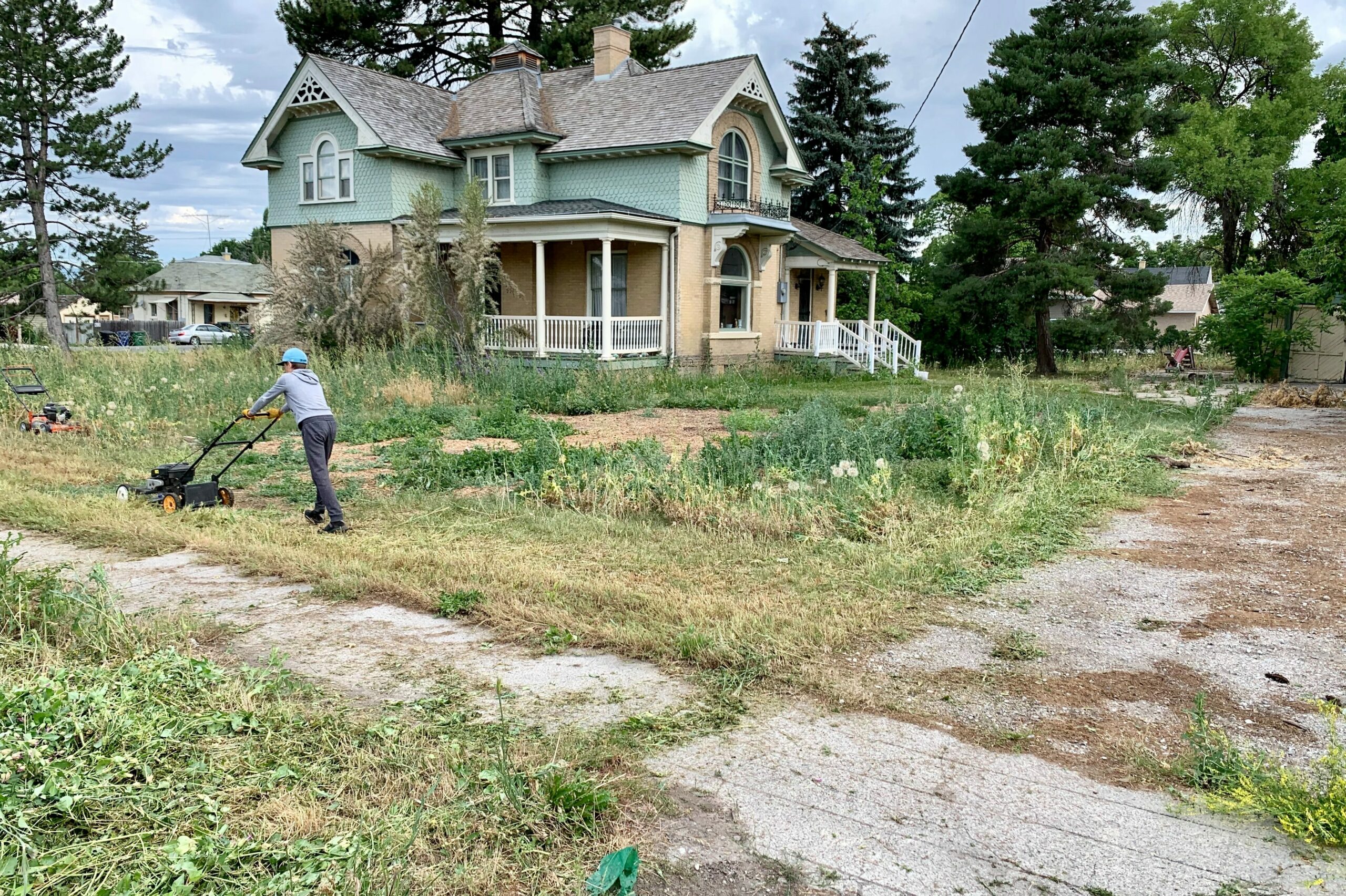 landscape installation overgrown yard 1