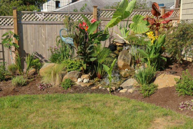 landscaping in my city backyard 1 