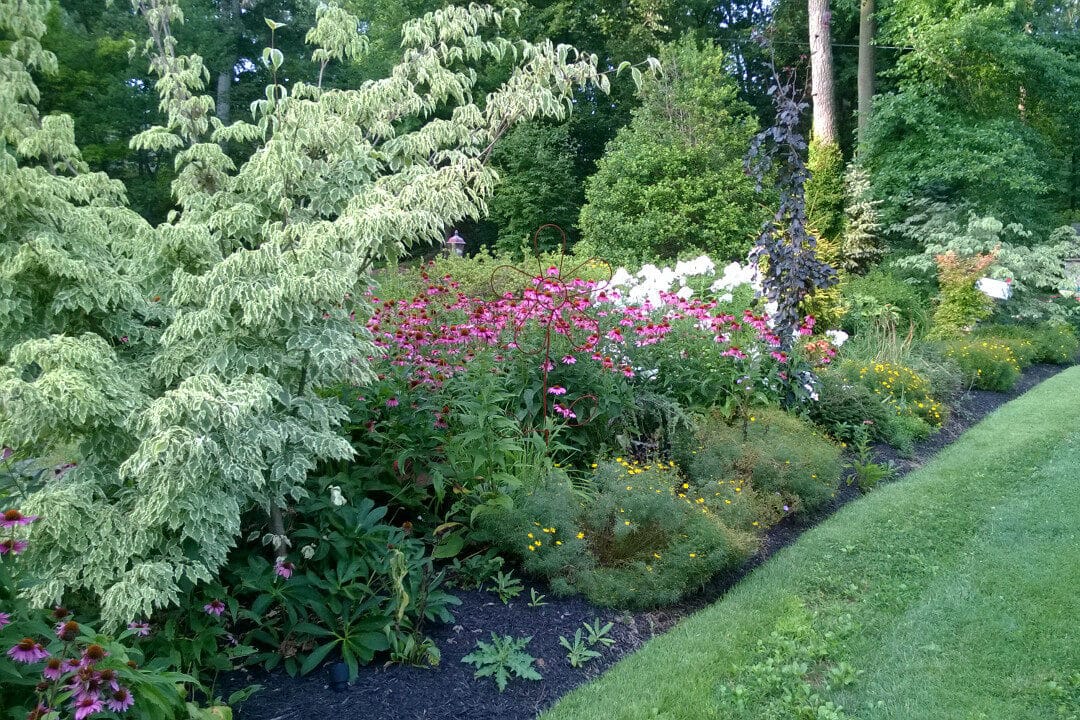 natural landscaping in King Of Prussia with white and pink flowers green bushes and small trees