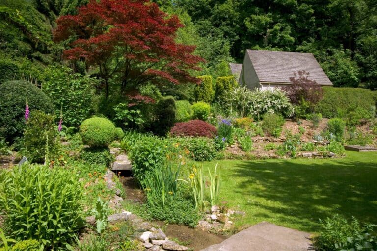 rain garden locations