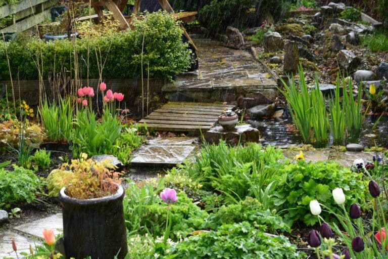 rain garden forms