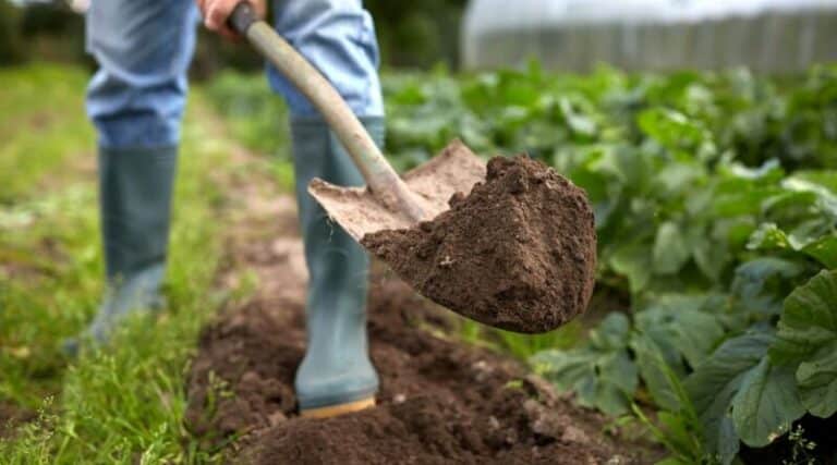 rain garden shovels